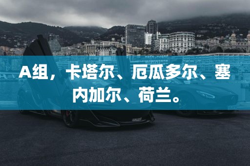 A组，卡塔尔、厄瓜多尔、塞内加尔、荷兰。