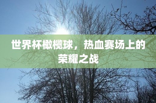 世界杯橄榄球，热血赛场上的荣耀之战广西贺州市华昌新材料有限公司