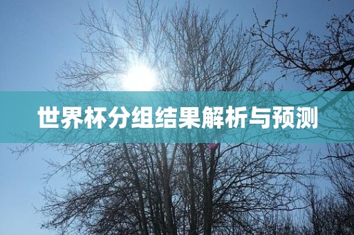 世界杯分组结果解析与预测
