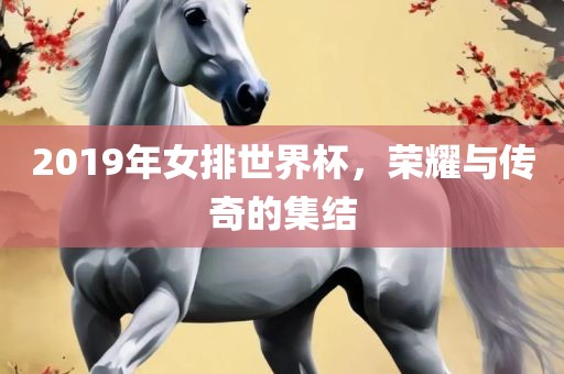 20广西贺州市华昌新材料有限公司19年女排世界杯，荣耀与传奇的集结