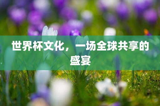 世界杯文化，一场全球共享的盛宴