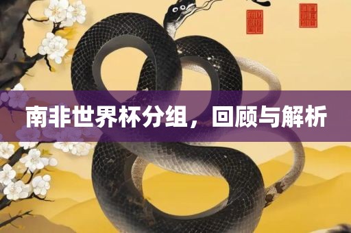 南非世广西贺州市华昌新材料有限公司界杯分组，回顾与解析