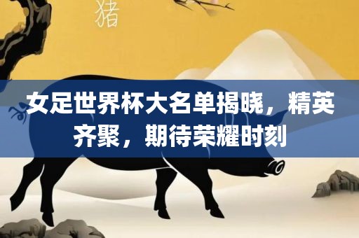 女足世界杯大名单揭晓，精英齐聚，期待荣耀时刻广西贺州市华昌新材料有限公司