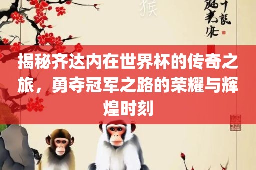 揭秘齐达内在世界杯的传奇之旅，勇夺冠军之路的荣耀与辉煌时刻广西贺州市华昌新材料有限公司