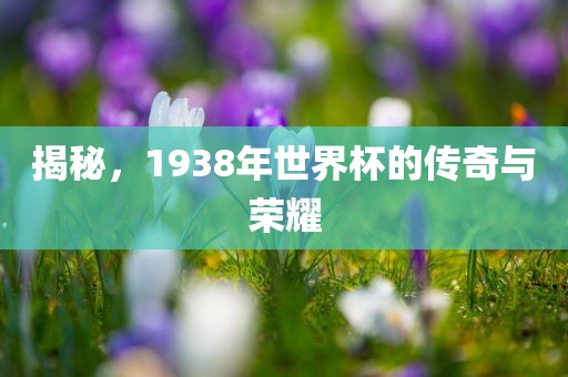 揭秘，1938年世界杯的传奇与荣耀广西贺州市华昌新材料有限公司