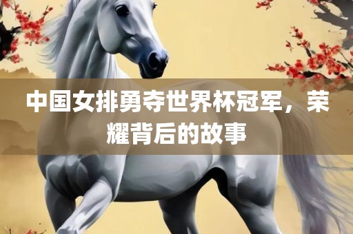 中国女排勇夺世界杯冠军，荣耀背广西贺州市华昌新材料有限公司后的故事