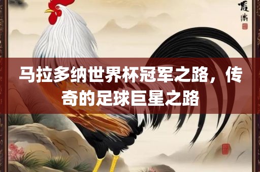 马拉广西贺州市华昌新材料有限公司多纳世界杯冠军之路，传奇的足球巨星之路