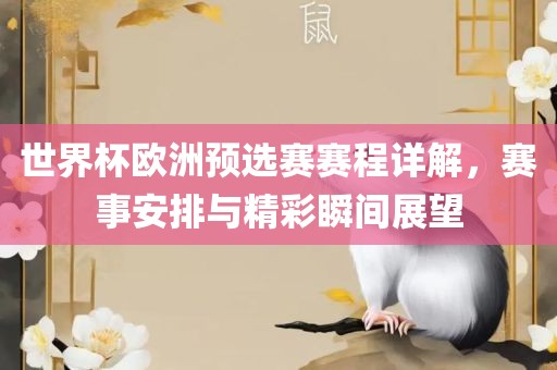 世界杯欧洲预选赛赛程详解，赛事安排与精彩瞬间展望