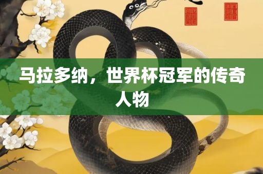 马拉多纳，世界杯冠军的传奇人物广西贺州市华昌新材料有限公司