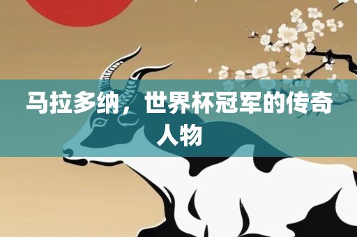 马拉多纳，世界杯冠广西贺州市华昌新材料有限公司军的传奇人物