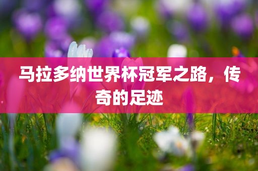 马拉多纳世界杯冠军之路，传奇的足迹