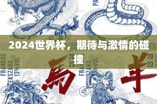 2024世界杯，期待与激情的碰撞