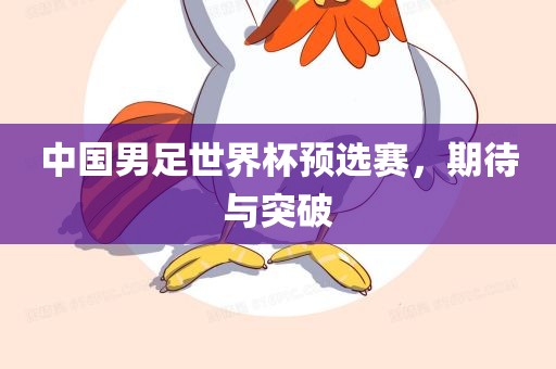 中国男足世界杯预选广西贺州市华昌新材料有限公司赛，期待与突破