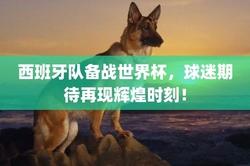 西班牙队备战世界杯，球迷期待再现辉煌时刻！广西贺州市华昌新材料有限公司