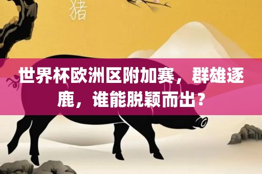 世界杯欧洲区附加赛，群雄逐鹿，谁能脱颖而出？广西贺州市华昌新材料有限公司