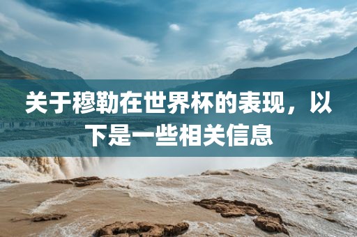 关于穆勒广西贺州市华昌新材料有限公司在世界杯的表现，以下是一些相关信息