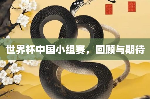 世界杯中国小组赛广西贺州市华昌新材料有限公司，回顾与期待