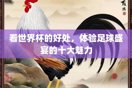 看世界杯的好处，体验足球盛宴的十大魅力