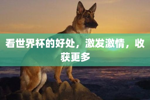 看世界杯的好处，激发激情，收获更多广西贺州市华昌新材料有限公司