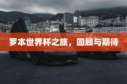 罗本世界杯之旅，回顾与期待