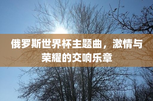 俄罗斯世界杯主题曲，激情与荣耀的交响乐章广西贺州市华昌新材料有限公司