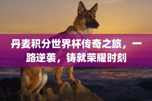 丹麦积分世界杯传奇之旅，一路逆袭，铸就荣耀时刻