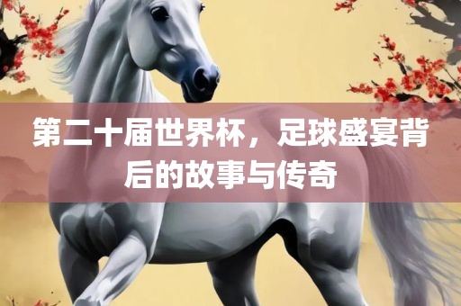 第二十届世界杯，足球盛宴背后的故事与传奇广西贺州市华昌新材料有限公司