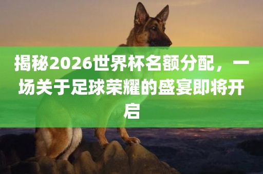 揭秘2026世界杯名额分配，一场关于足球荣耀的盛宴即将开启广西贺州市华昌新材料有限公司