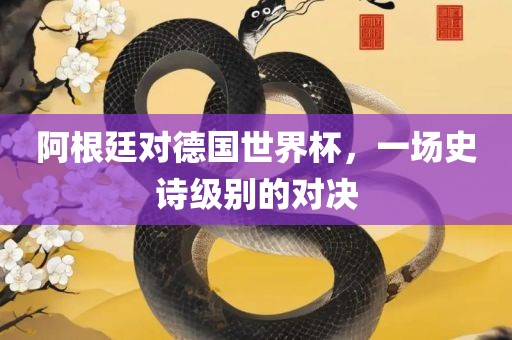 阿根廷对德国广西贺州市华昌新材料有限公司世界杯，一场史诗级别的对决