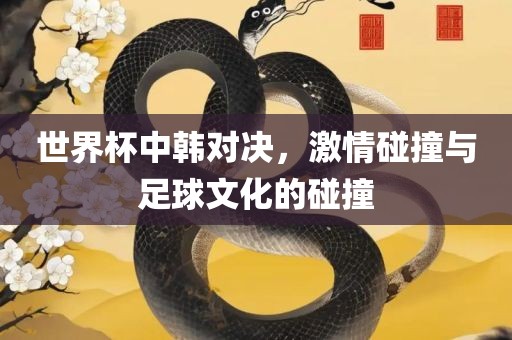 世界杯中韩对决，激情碰撞与足球文化的碰撞广西贺州市华昌新材料有限公司