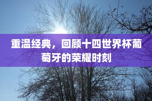 重温经典，回顾十四世界杯葡萄牙的荣耀时刻广西贺州市华昌新材料有限公司