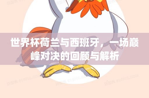 世界杯荷兰与西班牙，一场巅峰对决的回顾与解析