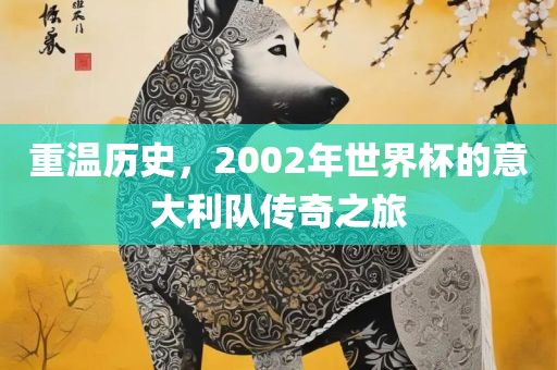 重温历史，2002年世界杯的意大利队传奇之旅