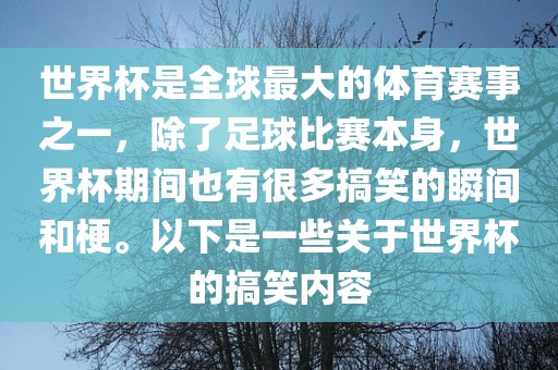 世界杯是全球最大的体育赛事之一，除了足球比赛本身，世界杯期间也有很多搞笑的瞬间和梗。以下是一些关于世界杯的搞笑内容