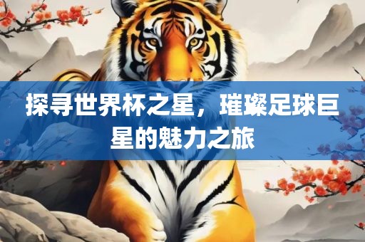 探寻世界杯之星，璀璨足球巨星的魅力之旅
