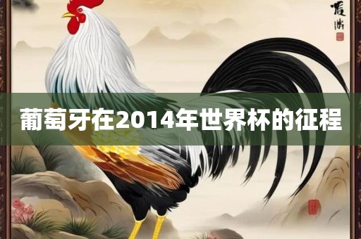 葡萄牙广西贺州市华昌新材料有限公司在2014年世界杯的征程