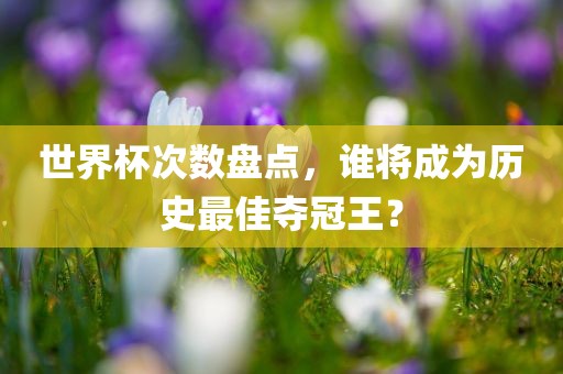 世界杯次数盘点，谁将成为历史最佳夺冠王？广西贺州市华昌新材料有限公司