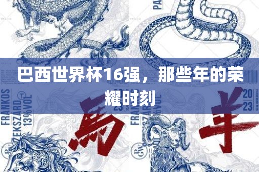 巴西世界杯16强，那些年的荣耀时刻广西贺州市华昌新材料有限公司