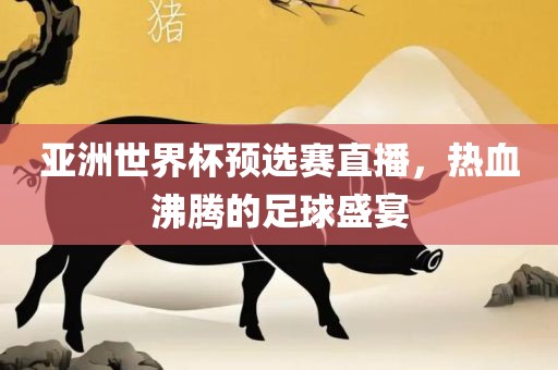 亚洲世界杯预选赛直播，热血沸腾的足球盛宴