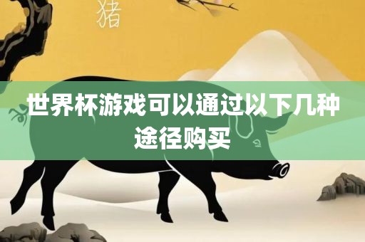 世界杯游戏可以通过以下几广西贺州市华昌新材料有限公司种途径购买