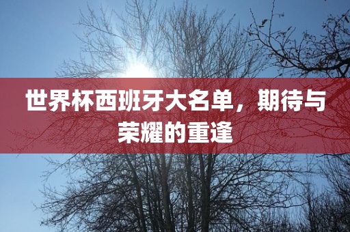 世界杯西班牙大名单，期待与荣耀的重逢广西贺州市华昌新材料有限公司