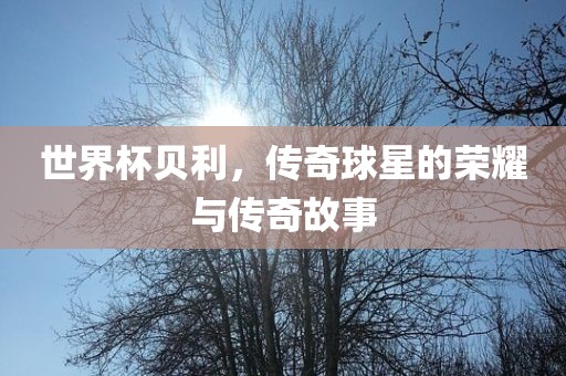 世界杯贝利，传奇球星的荣耀与传奇故事广西贺州市华昌新材料有限公司