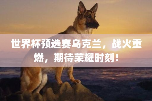 世界杯预选赛乌克兰，战火重燃，期待荣耀时刻！广西贺州市华昌新材料有限公司