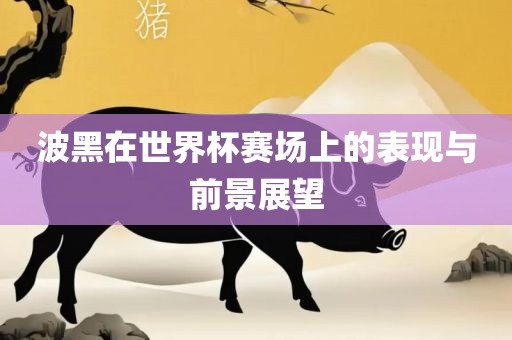 波黑在世界杯赛场上的表现与前景展望广西贺州市华昌新材料有限公司
