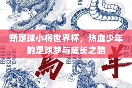 新足球小将世界杯，热血少年的足球梦与成长之路广西贺州市华昌新材料有限公司