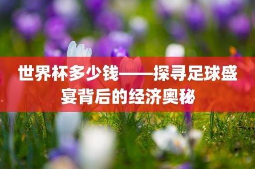 世界杯多少钱——探寻足球盛宴背后的经济奥秘广西贺州市华昌新材料有限公司