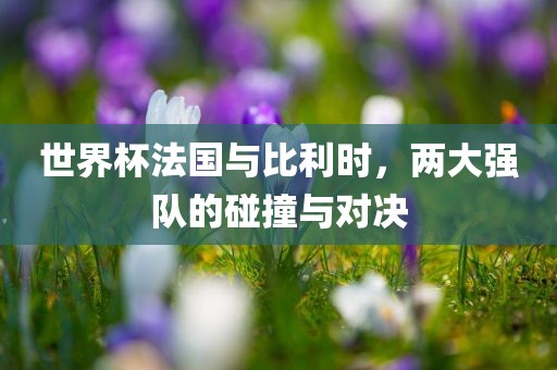 meinan 第7页