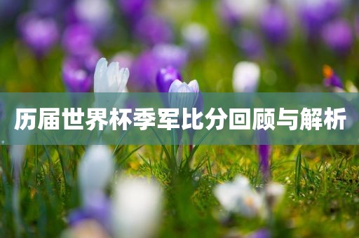 历届世界杯季军比分回顾与解析广西贺州市华昌新材料有限公司