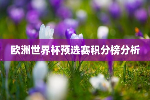 欧洲世界杯预选赛积分榜分析