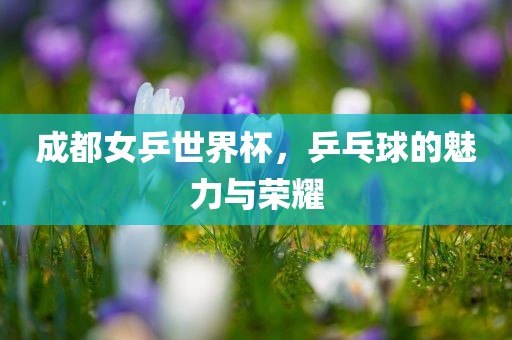 成都女乒世界杯，乒乓球的魅力与荣耀
